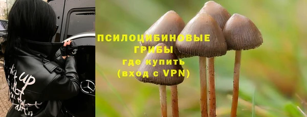 стафф Нязепетровск